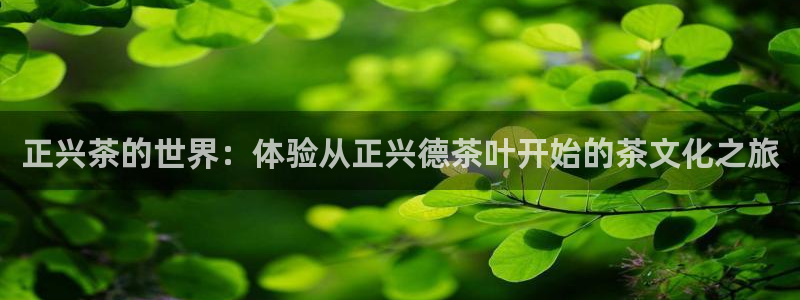 安信12彩票
