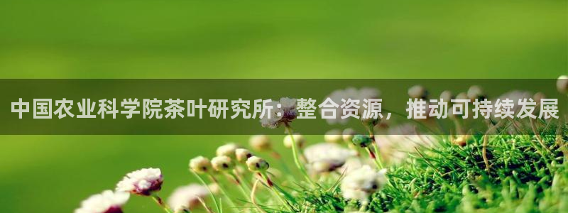 安信12娱乐招商