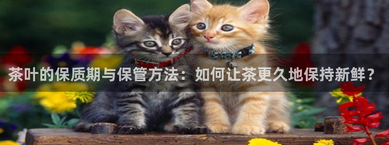 安信12