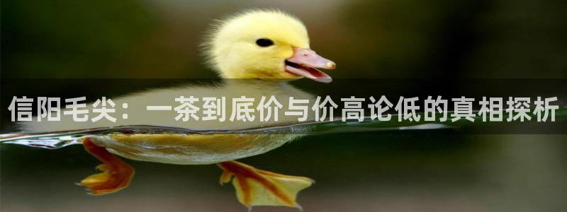 安信12平台的网址