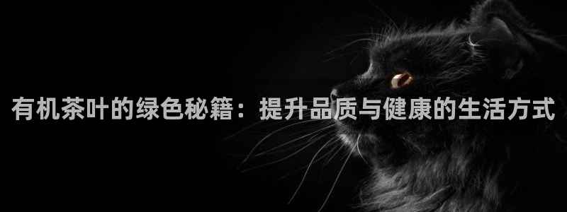 安信12平台