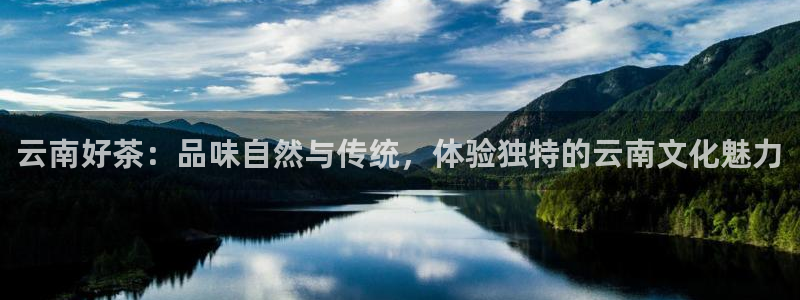 安信12位资金账号