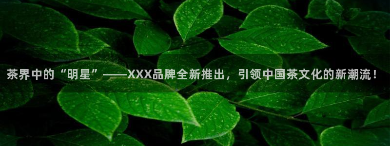 安信12级灯牌