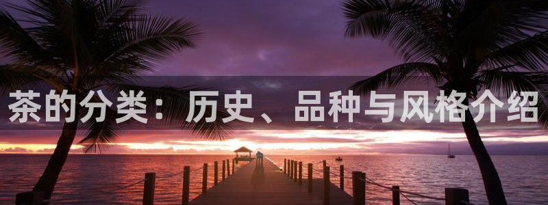 安信可12e12f