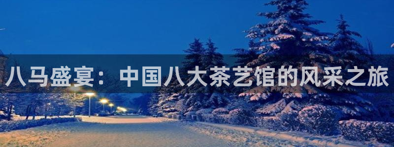 安信12招商