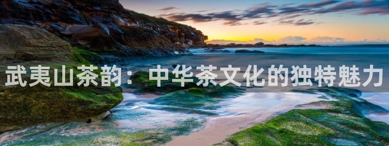 安信 12