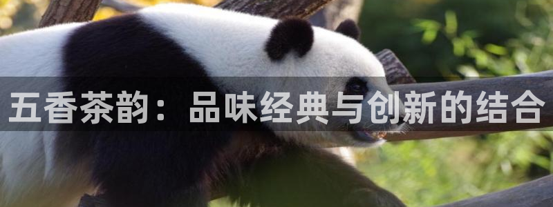 安信12app下载