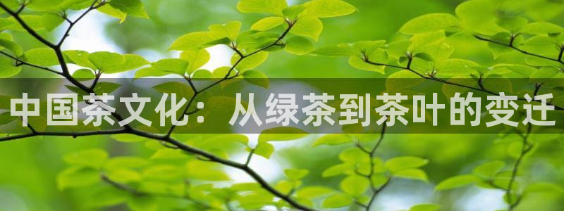 安信t12