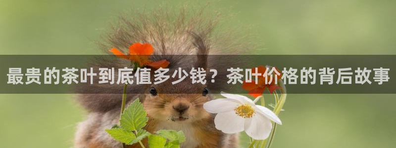 安信可12f