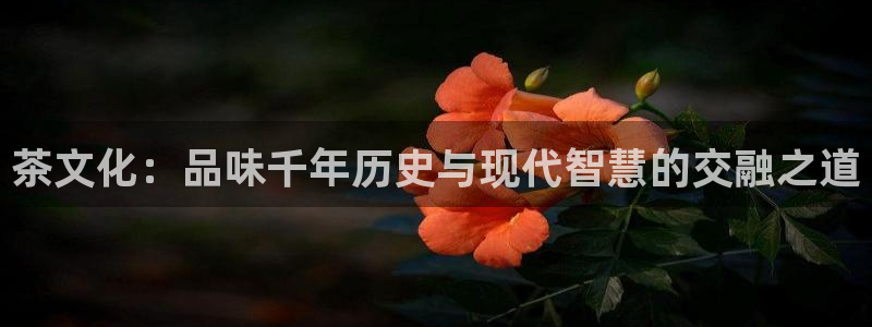 安信12正版下载