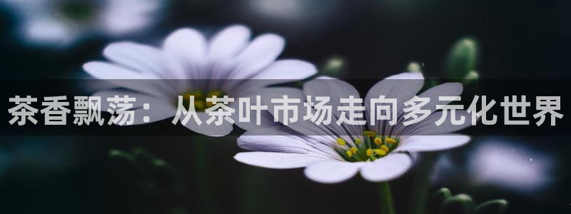 安信可12e12f