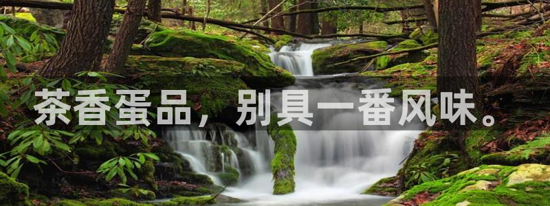 安信锐赢134号12月