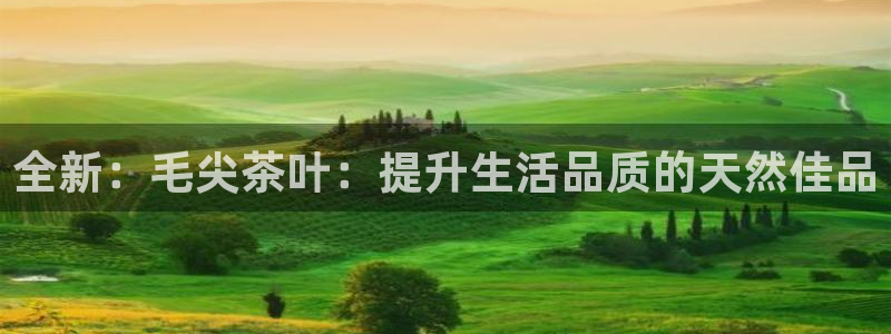 安信12娱乐招商