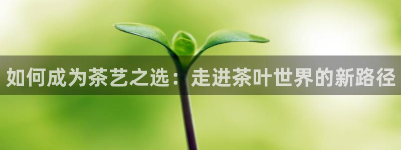 信安12