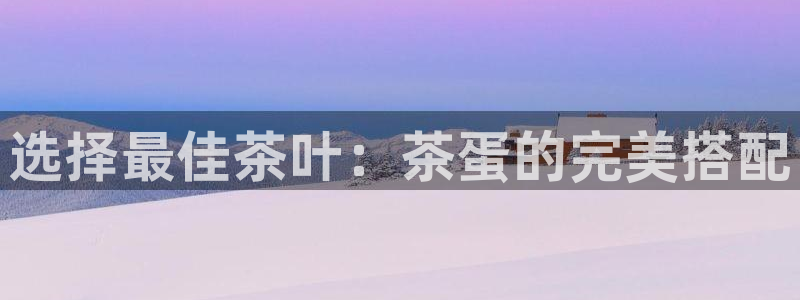 安信12负责人
