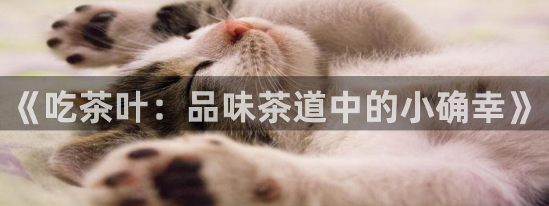 安信t12