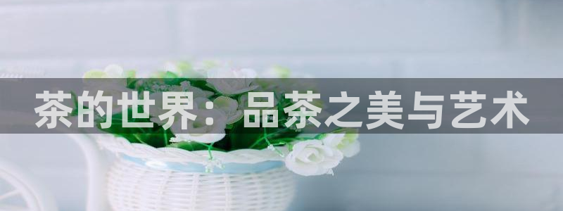 安信12app下载