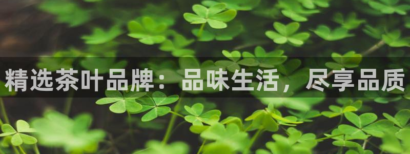 安信 12