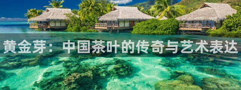 安信12赛车