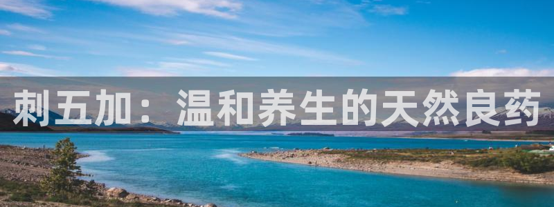 安信12平台介绍