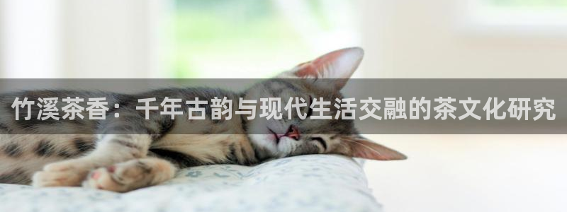 安信可12f12e