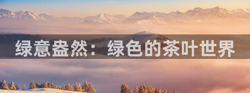 安信12是啥