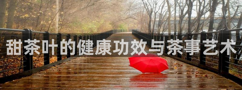 安信12娱乐招商探索空间