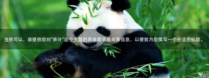 下载安信12