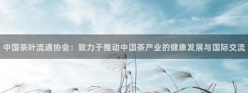 安信12网页版