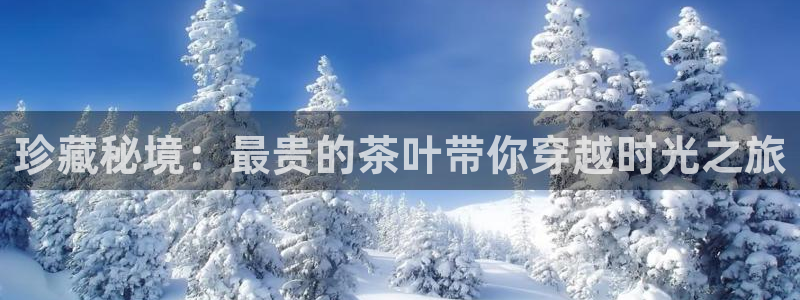安信12平台下载