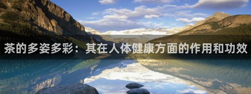 安信12网页版