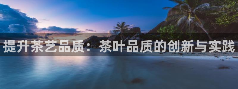 安信12平台开户