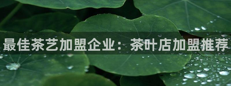 安信12平台