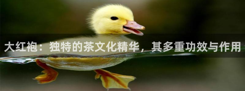安信 12