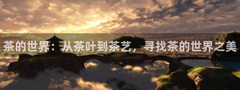 安信12娱乐