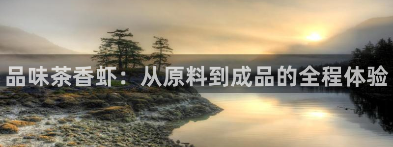安信可12e12f