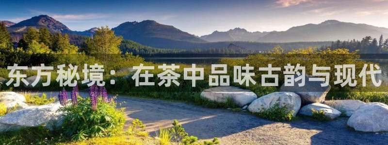 安信12级灯牌