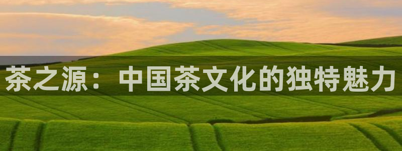 安信12周年
