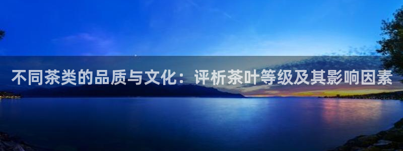 安信12网站
