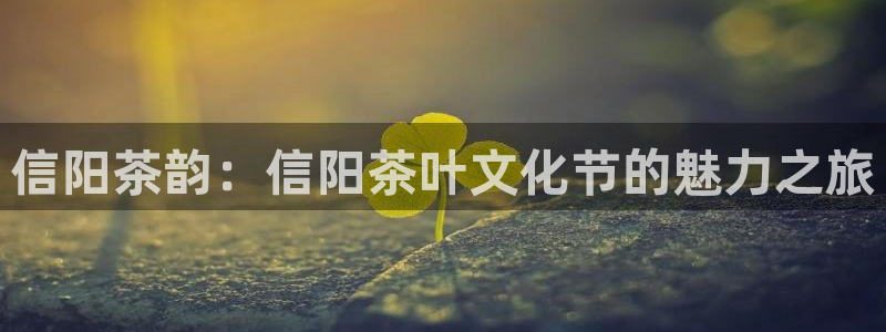安信12是做什么