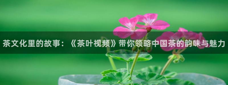 安信esp12
