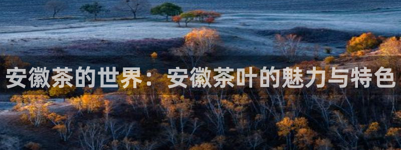 安信12娱乐招商探索空间