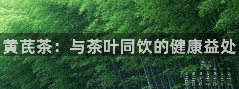 安信可f12