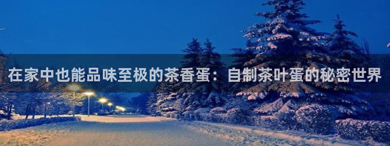 安信12专用挂机