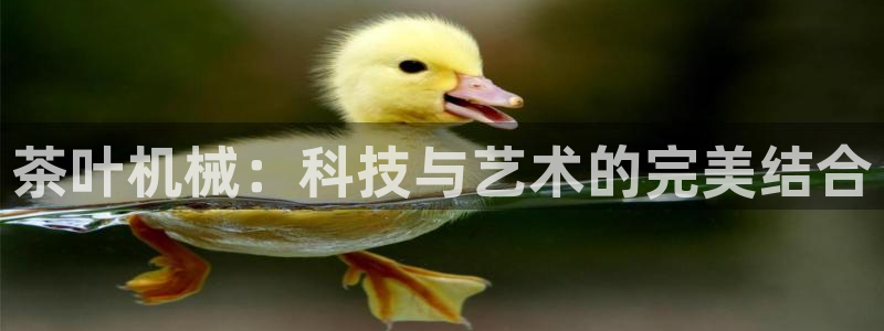 安信证券 12位