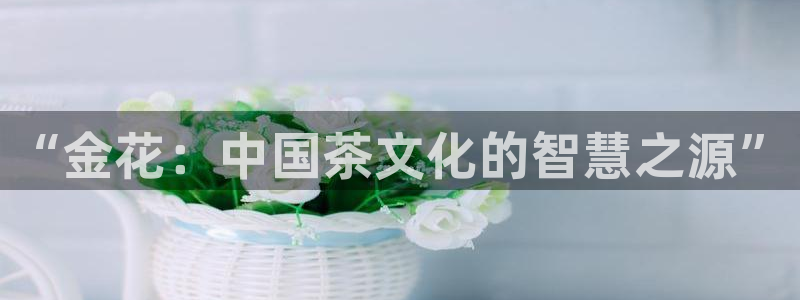 安信12平台官网