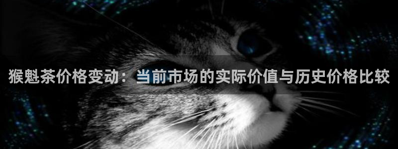 安信12位数资金号