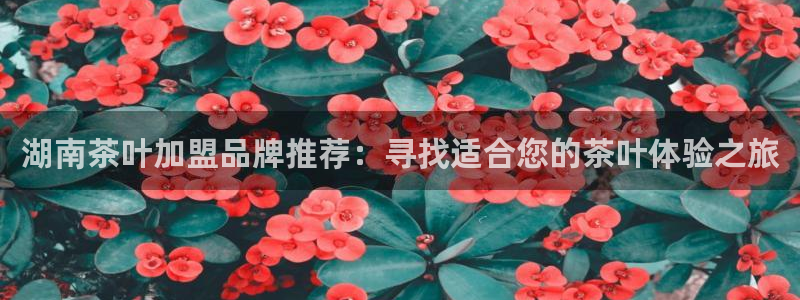 安信可12e12f