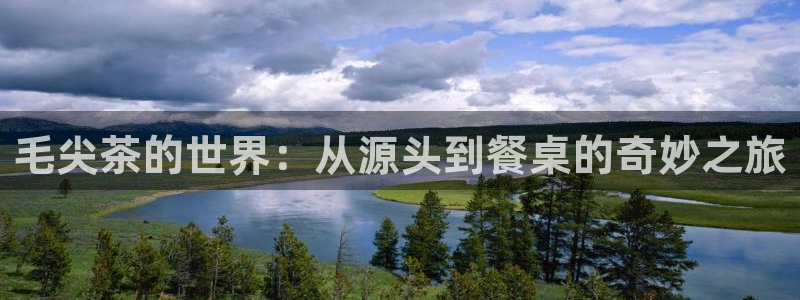 安信12怎么下载