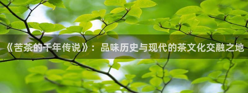 安信12级粉丝团福利